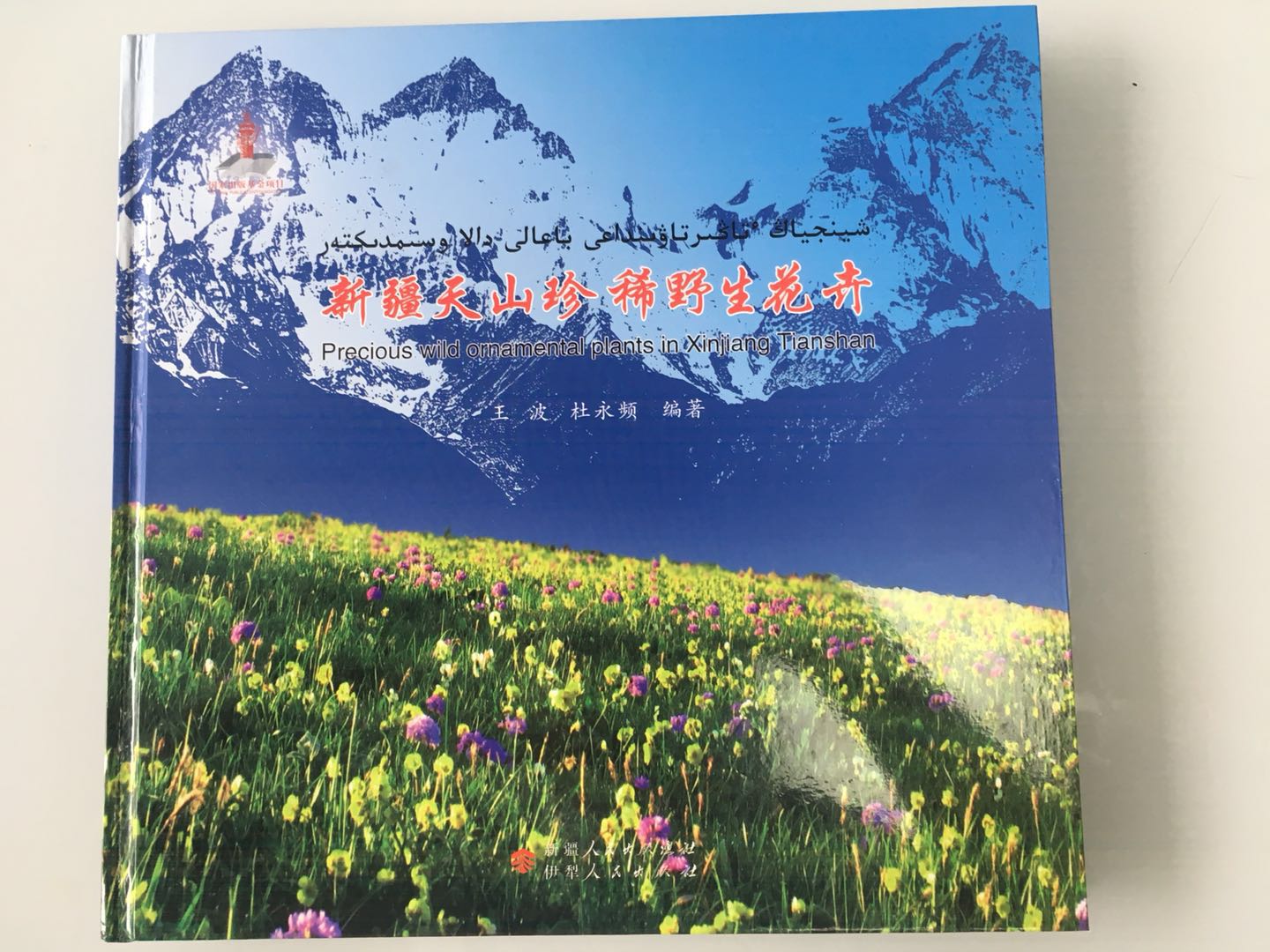 (image for) Precious wild ornamental plants in Xinjiang Tianshan